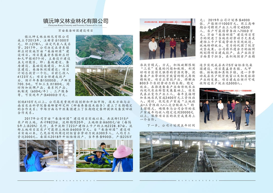 平面設(shè)計(jì):鎮(zhèn)沅坤義林業(yè)林化有限公司DM單 愛因森教育平面設(shè)計(jì):鎮(zhèn)沅坤義林業(yè)林化有限公司DM單