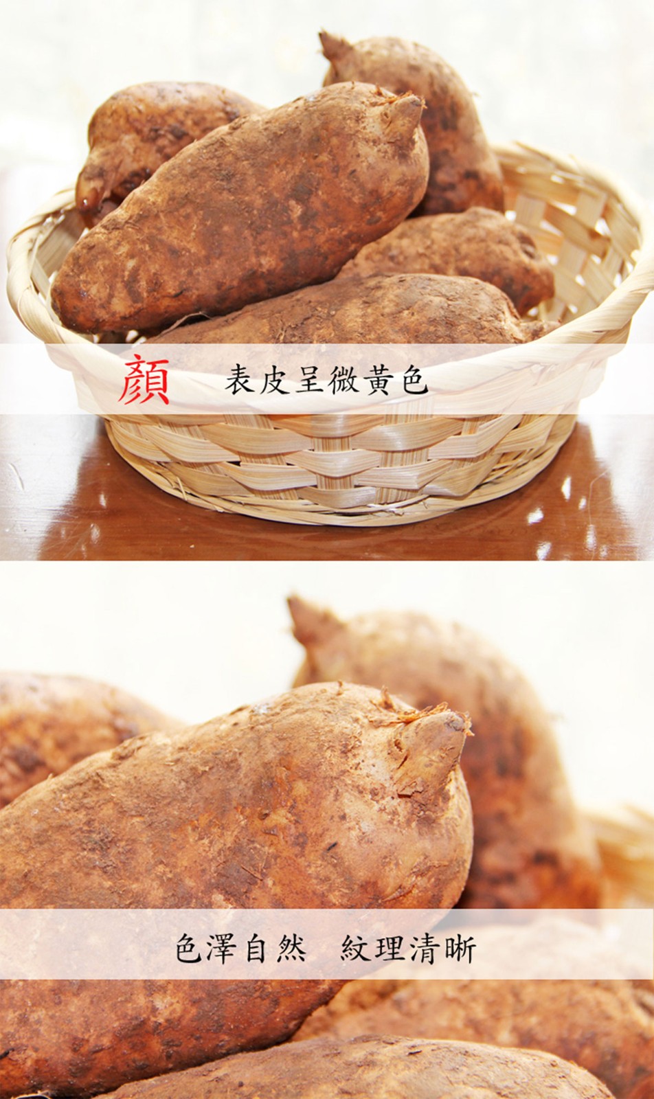 ɭƽƷ-ƺùԌbca(chn)ƷԔ