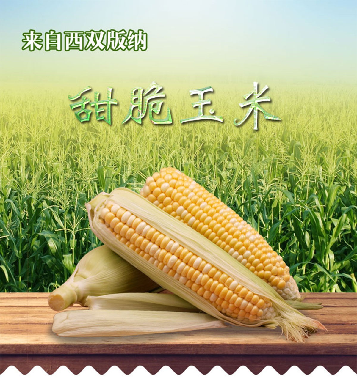 ɭƽƷ-ƺùԌbca(chn)ƷԔ