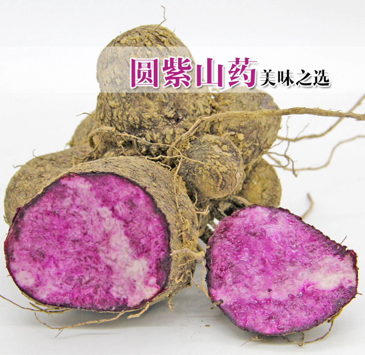 ɭƽƷ-ƺùԌbca(chn)ƷԔ