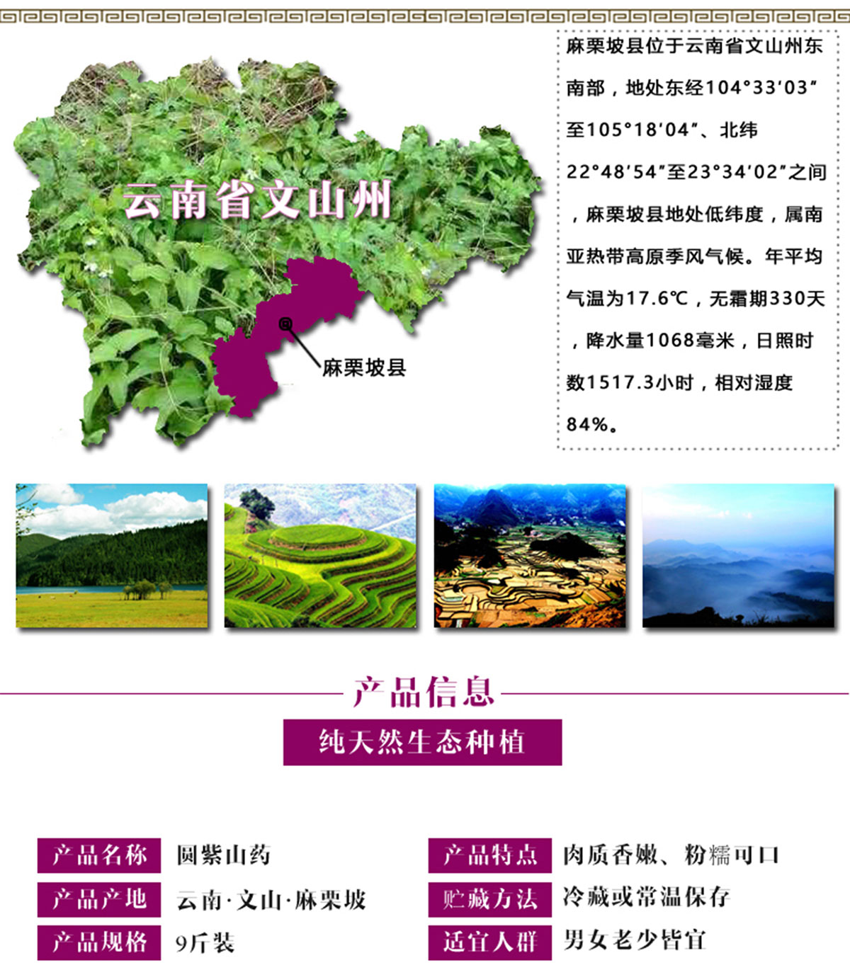 ɭƽƷ-ƺùԌbca(chn)ƷԔ